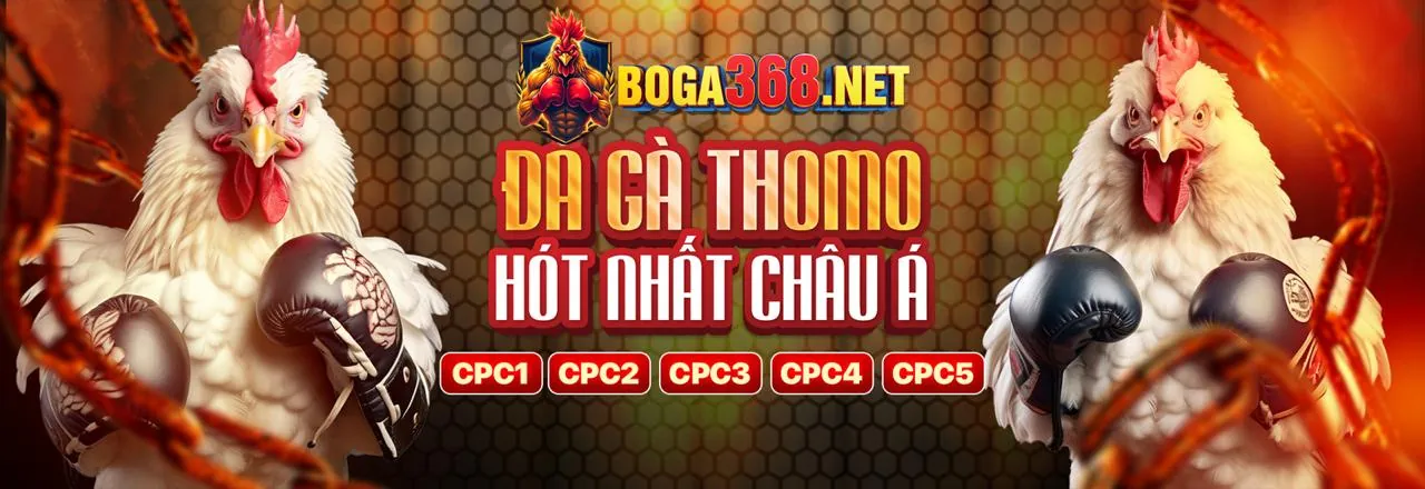 Đá Gà Trực Tiếp Hôm Nay Daga88